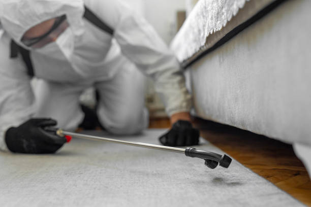 Professional Pest Control technician working in Sparta, WI